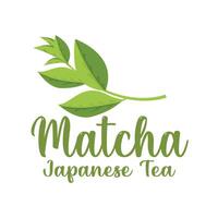 Vektorillustration des grünen Pflanzen-Matcha-Logos als Matcha-Getränk oder Matcha-Dessert, Grüntee-Design vektor