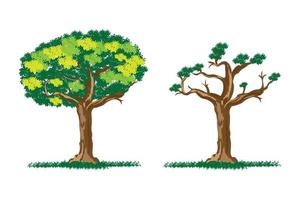träd vektor design - grönt skogsträd