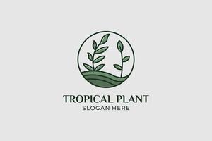 tropisk växt logotyp set minimalistisk stil vektor