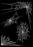 Spinnennetz. Design-Elemente
