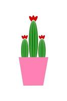 kaktus i en kruka vektor