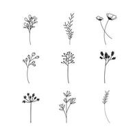 handritad uppsättning botaniska blad doodle vildblomma linjekonst vektor