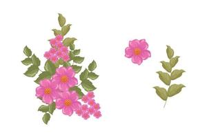 en mängd färgglada arrangemang av vackra blad och blommor vektor