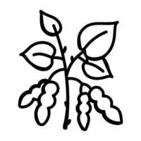 ein Tamarinden-Pflanzen-Doodle-Icon-Download vektor
