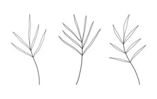 satz von floralen handgezeichneten vektoren. handgezeichnete Pflanzen im Doodle-Stil. Botanische Illustration. vektor