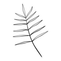 handritad blad doodle. handritad växt i doodle stil. botanisk illustration. vektor