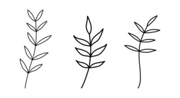 satz von floralen handgezeichneten vektoren. handgezeichnete Pflanzen im Doodle-Stil. Botanische Illustration. vektor