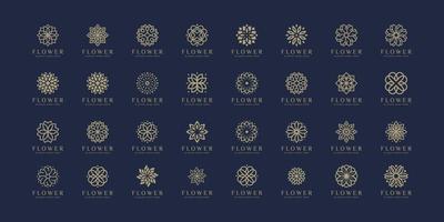 satz von blumen-luxus-logo-design-natur vektor