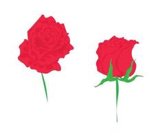 schöne Rosen, die in allgemeinen Anwendungen verwendet werden vektor