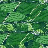 Nahtloses Muster der Tarnung. tropischer Hintergrund der abstrakten grünen Armee.