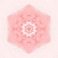 kalejdoskop blomma mandala. vektor illustration. vektor färgglada mosaik