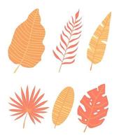 Satz tropischer Blätter. Vektor-Cartoon-Regenwaldblätter isoliert auf weißem Hintergrund. brasilien-dschungelflora im flachen stil. Bananenblatt, Palme, Farn, Monstera und andere. tropische Pflanzen