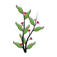 Blumensymbol-Clipart-Umriss mit rotem, niedlichem Farbvektor, animiertem Illustrationsdesign in weißem Hintergrundbild vektor