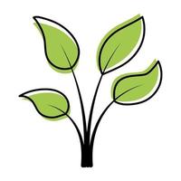 Blätter Pflanze für Zimmerpflanzen Vektor Icon Cliparts auf weißem Hintergrund