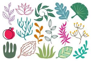 zweige und blätter gesetzt. sammlung botanischer designelemente zweige und blätter. buntes laub, pflanzendekorationsset, vektorillustration. vektor