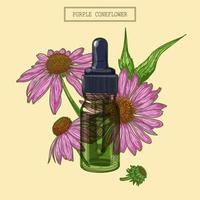 Medizinische Echinacea-Blumen und grüner Glastropfer, handgezeichnete Illustration im Retro-Stil vektor