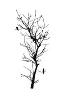 döda träd siluett. träd utan löv clipart. torra eller nakna träd vektorillustrationer. vektor