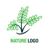natur logotyp, flora, vegetarian, bio botani, löv koncept vektor