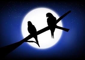 Grafiken zeichnen Silhouette zwei Vögel stehen auf einem Ast mit Mondhintergrund eine Nacht, Vektorillustration vektor
