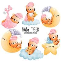 baby tiger. vektor illustration