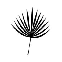 schwarze Silhouette tropisches Chamaerops-Blatt. Palmblatt. einfache Vektorillustration. vektor