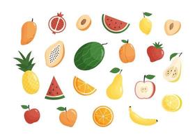 Reihe von bunten Früchten und Beeren vektor
