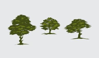 uppsättning av träd av ek logotyp vektordesign på vit bakgrund och tre enorma isolerade träd ikon illustration mallar vektor