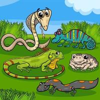 tecknade reptiler och amfibier djurkaraktärer grupp vektor