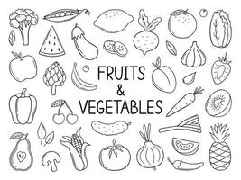 handritad uppsättning frukt och grönsaker doodle. vegetarisk mat i skissstil. vektor illustration isolerad på vit bakgrund.