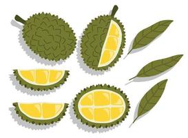 Vektorsatz handgezeichneter Durian-Vektorillustration vektor