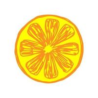 handritad vektorritning. ljus gul-orange skiva citrus, lobule. etikett, produkt, vitamin, juice. vektor