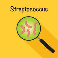 Vektor-Illustration-Grafik von Streptococcus in der Lupe vektor