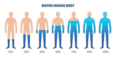 Wasserset für den menschlichen Körper vektor