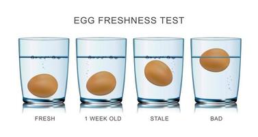 infografiken zum ei-frischetest vektor