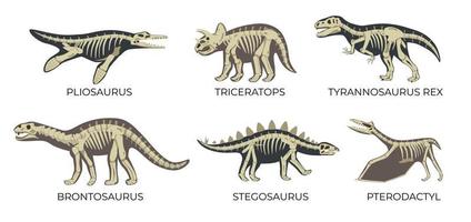 Dinosaurier-Skelett-Set vektor