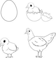 doodle kyckling livscykel vektor