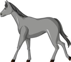 grå häst promenader tecknad serie vektor