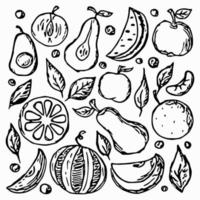 Obst-Symbole. Gekritzelvektorillustration mit Fruchtikonen. Obst-Hintergrund vektor