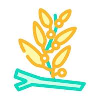 Sargassum Algen Farbe Symbol Vektor Illustration