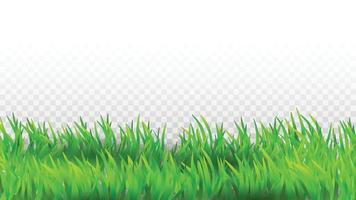 gräs växande grön växt landsbygdens landskap vektor