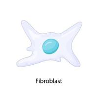 fibroblast är en cell i dermis. vektor illustration