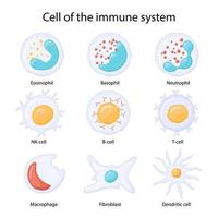 immunsystemets celler. leukocyter eller vita blodkroppar eosinofiler, neutrofiler, basofiler, makrofager, fibroblaster och dendritiska celler. vektor