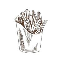 Vektorskizze von Pommes Frites auf der Schachtel. Öko-Lebensmittel-Vintage-Vektor-Illustration. Stärkeskizzenillustration für Druck, Netz, Mobile und infographics lokalisiert auf weißem Hintergrund. vektor