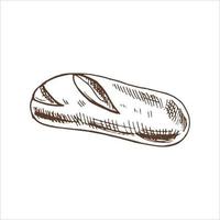 vektor handritad illustration av bröd. brun och vit ritning isolerad på vit bakgrund. skissikon och bagerielement för tryck, webb, mobil och infografik.