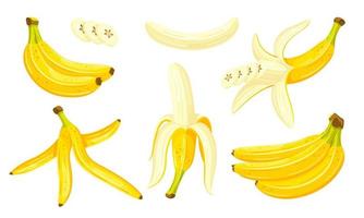 schöne Bananen im Cartoon-Stil. flaches Design. Satz gelbe Bananen getrennt auf einem weißen Hintergrund. Vektor-Illustration vektor