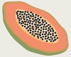 vektor ljus illustration av papaya frukt.