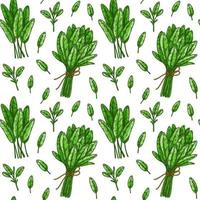 seamless mönster med salvia blad och klasar. handritade gröna och bladgrönsaker. vektor illustration i färgad skiss stil