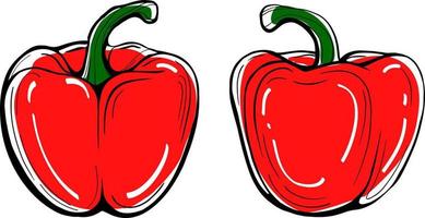 Skizze mit zwei roten Gemüsepaprika auf einem weißen Hintergrund vektor