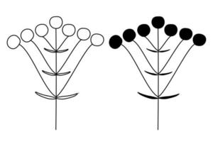 konturerna av siluetten av blomställningar i växter på stjälken. vektor isolerade