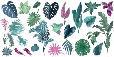 tropiska löv samling, handritad vektor set
